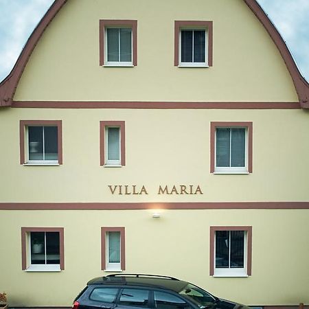 Pension Villa Maria Karlovy Vary Bagian luar foto